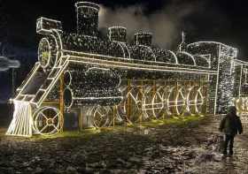 'I took my son on Windsor's Christmas light trail but there was a problem'